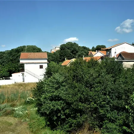 Cozy Place Apartment