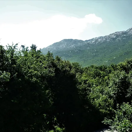 Apartment Cozy Place